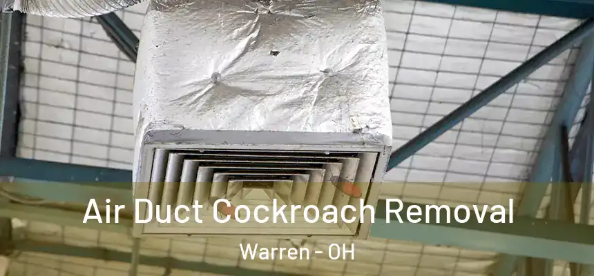  Air Duct Cockroach Removal Warren - OH