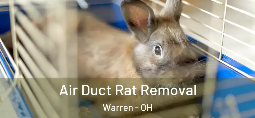  Air Duct Rat Removal Warren - OH