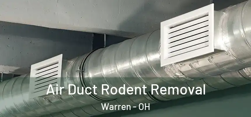 Air Duct Rodent Removal Warren - OH