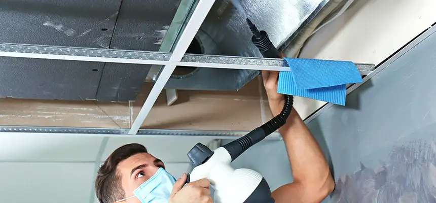 Our Air Duct Rodent Removal Services in Warren, OH