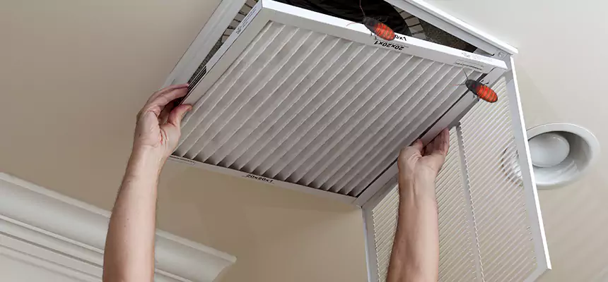 Our Insect Removal from Air Ducts Services in Warren, OH