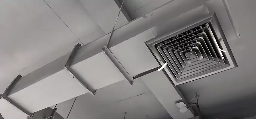 Our Pest Removal From Ducts Services in Warren, OH