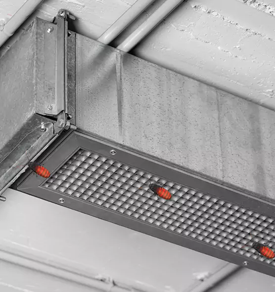 About Air Duct Cockroach Removal in Warren, OH