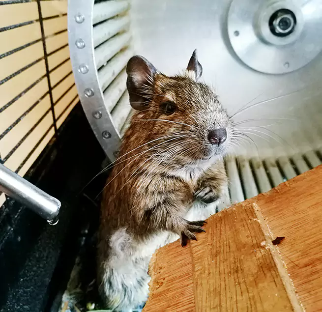 Why Homeowners & Businesses Trust Us Warren, OH?